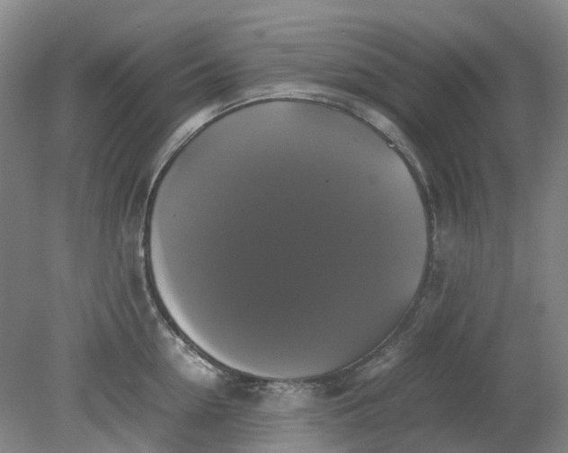 X0000079320954200612011839