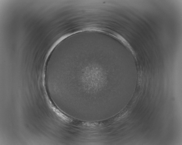 X0000079320955200612011839