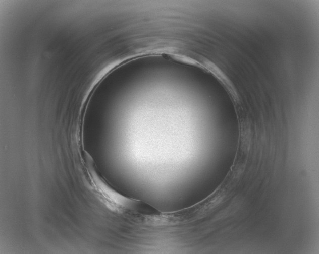 X0000079320956200612011839