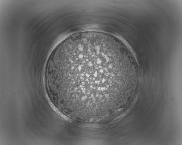 X0000079320957200612011839