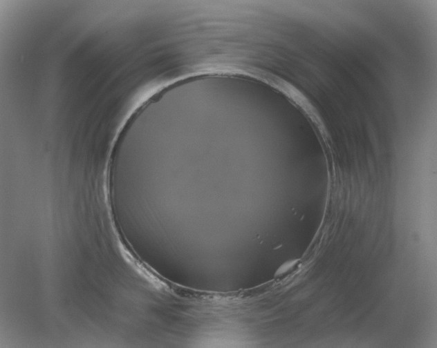 X0000079320958200612011839