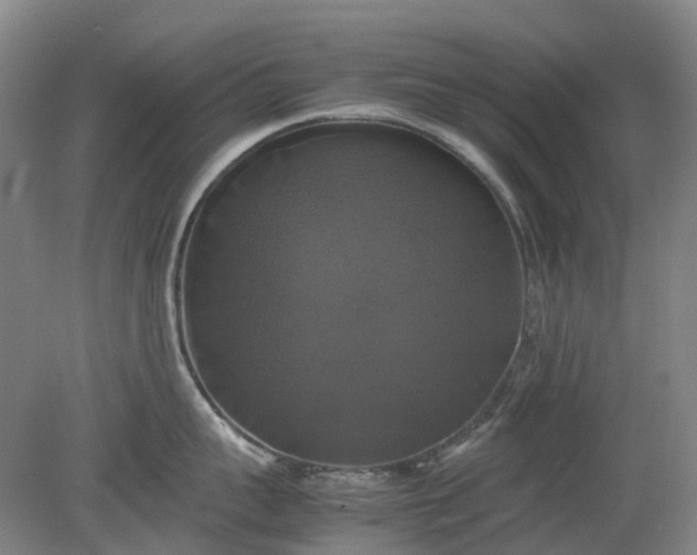 X0000079320959200612011839