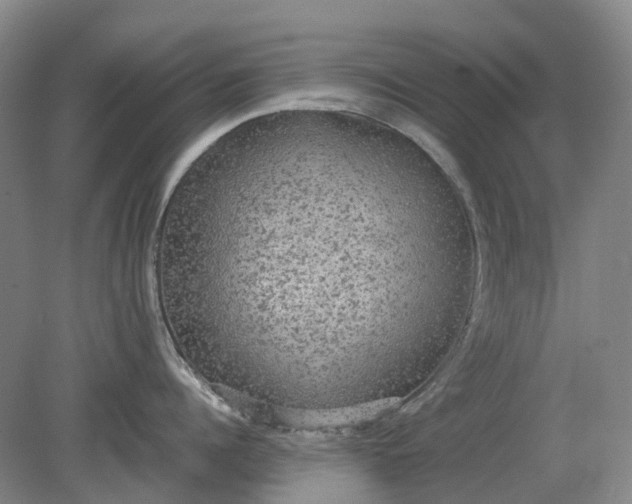 X0000079320960200612011839