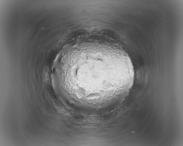 X0000079320963200612011838