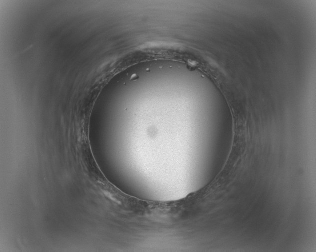 X0000079320965200612011838