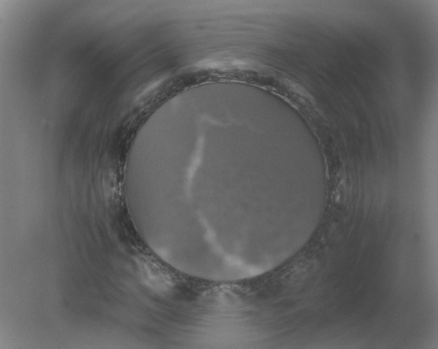 X0000079320966200612011838