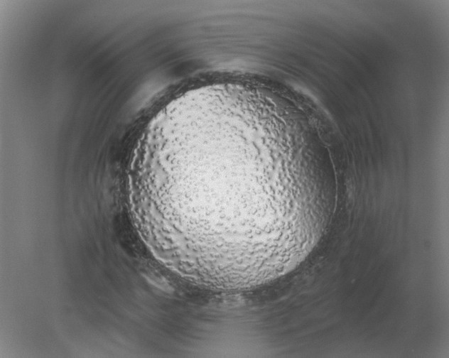 X0000079320968200612011838