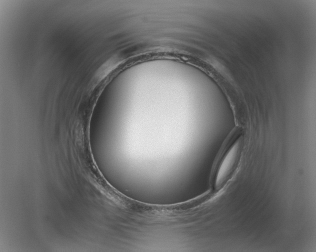 X0000079320969200612011838