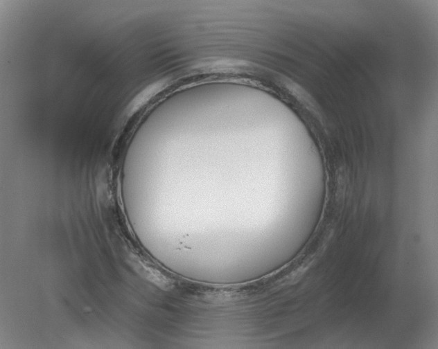 X0000079320970200612011838