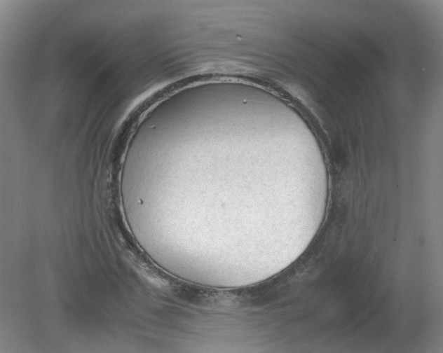 X0000079320971200612011838