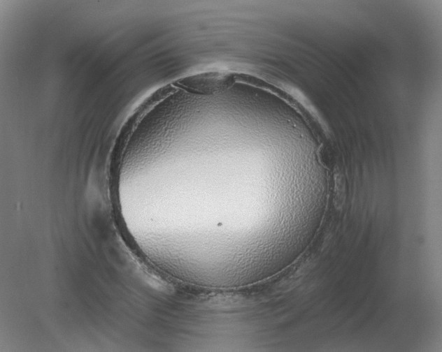 X0000079320972200612011838