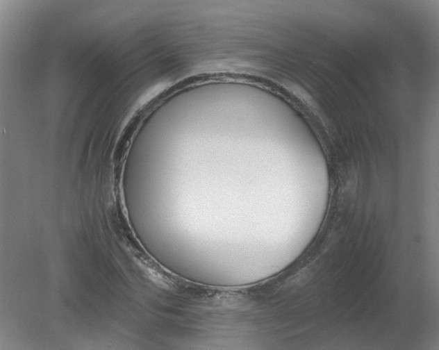 X0000079320974200612011838