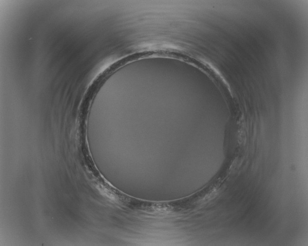 X0000079320975200612011838