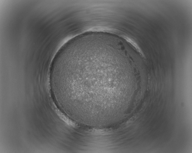 X0000079320976200612011838