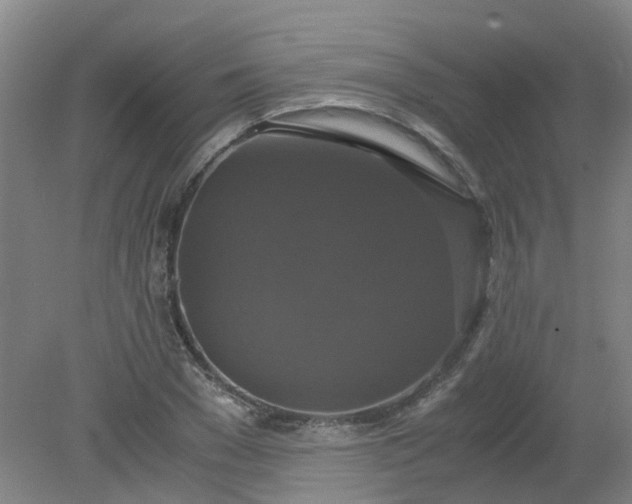 X0000079320977200612011838