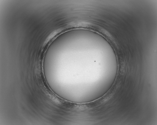 X0000079320978200612011838