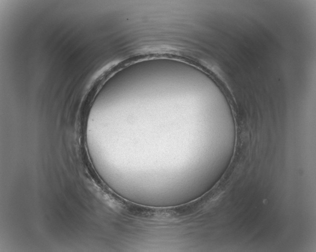 X0000079320979200612011838