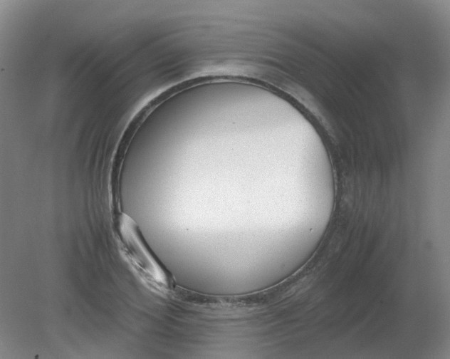 X0000079320980200612011838