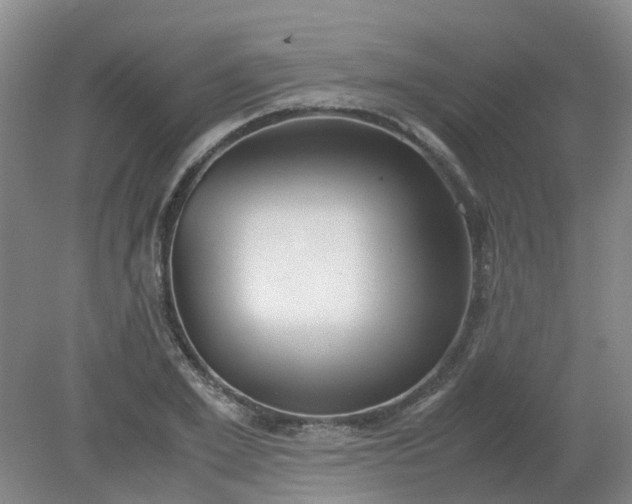 X0000079320981200612011838