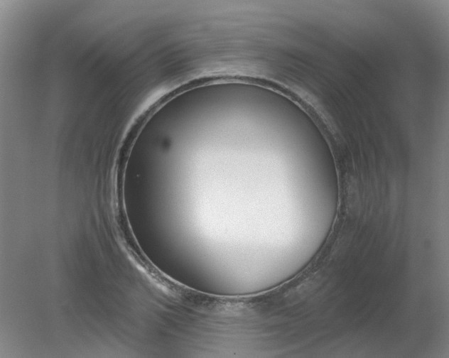 X0000079320982200612011838