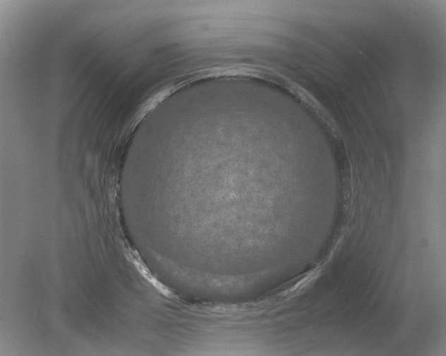 X0000079320985200612011837