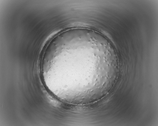 X0000079320987200612011837