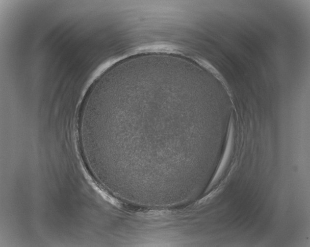 X0000079320989200612011837