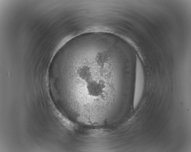 X0000079320990200612011837