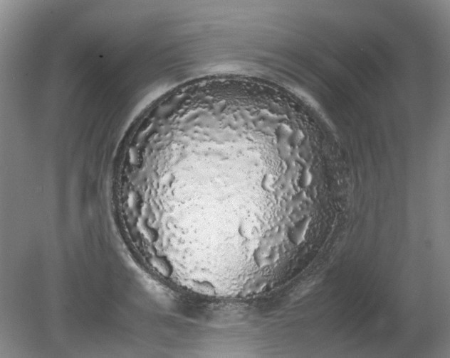 X0000079320991200612011837