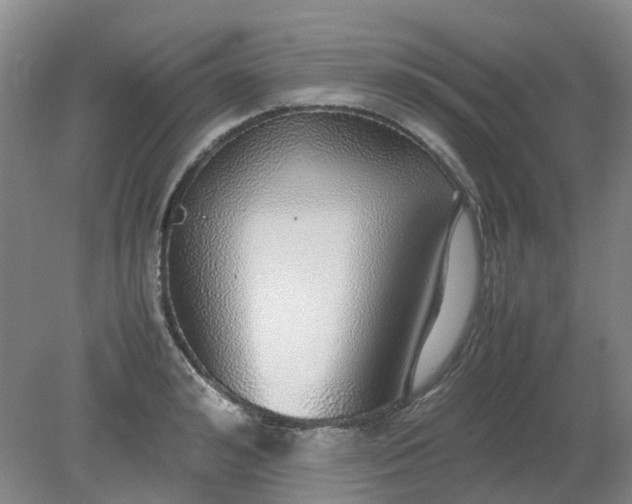 X0000079320992200612011837