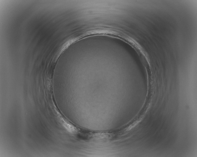 X0000079320993200612011837