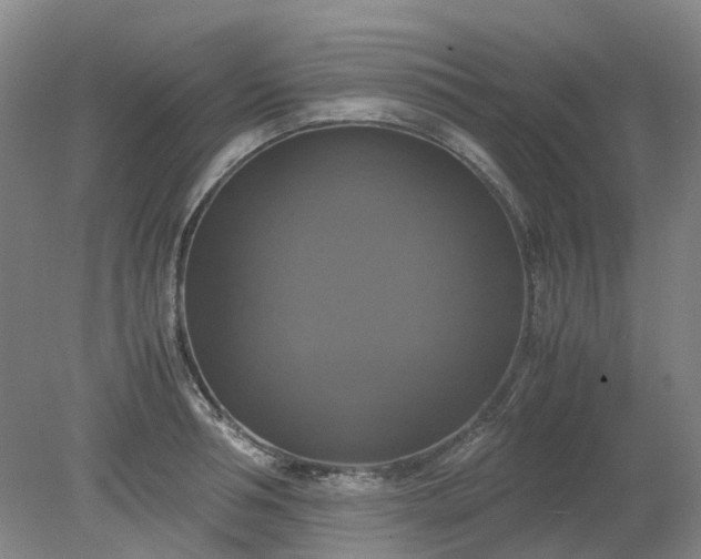 X0000079320994200612011837