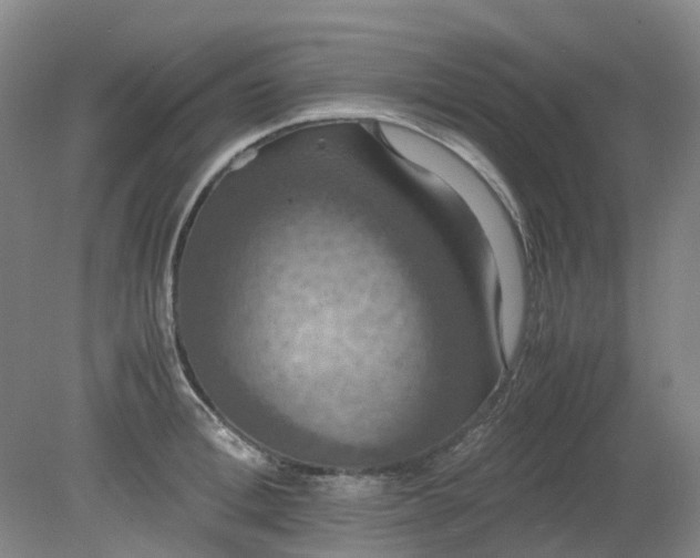 X0000079320996200612011837