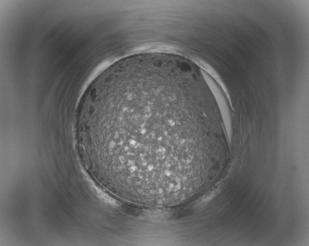 X0000079320997200612011837