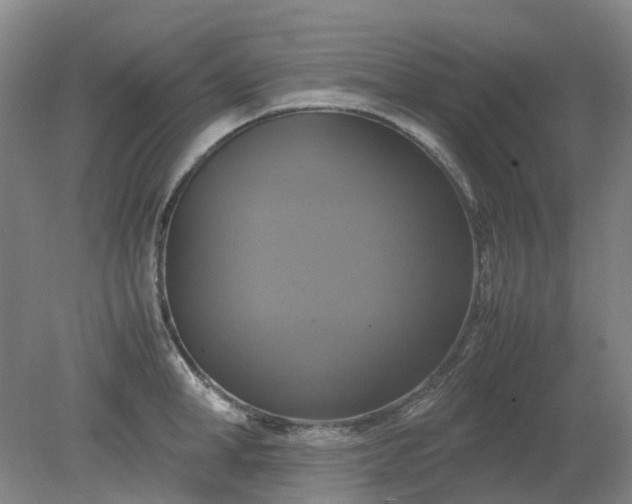 X0000079320998200612011837