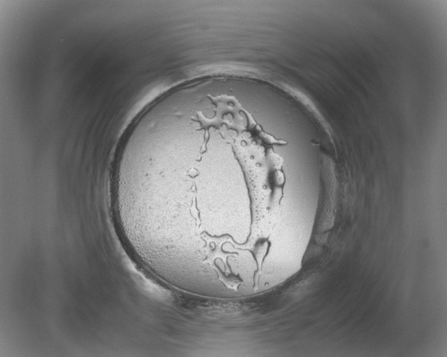 X0000079320999200612011837