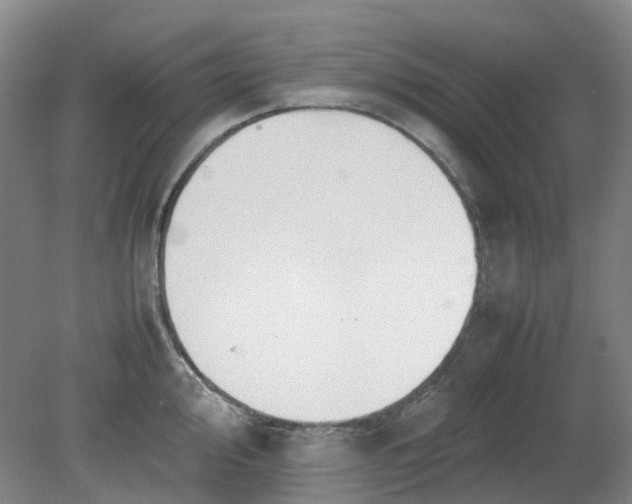 X0000079321000200612011837