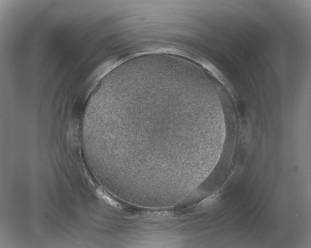 X0000079321001200612011837