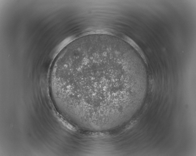 X0000079321002200612011837