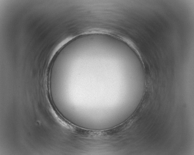 X0000079321003200612011837