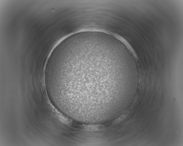 X0000079321004200612011837