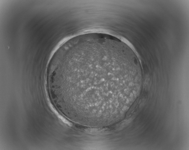 X0000079321005200612011837