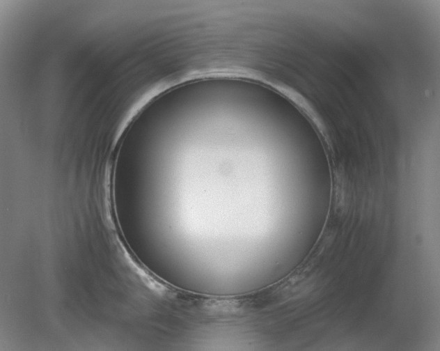 X0000079321006200612011837