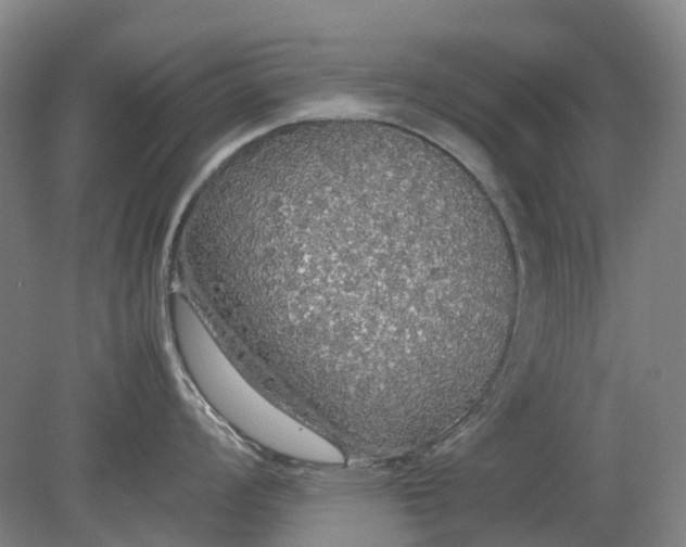 X0000079321008200612011837