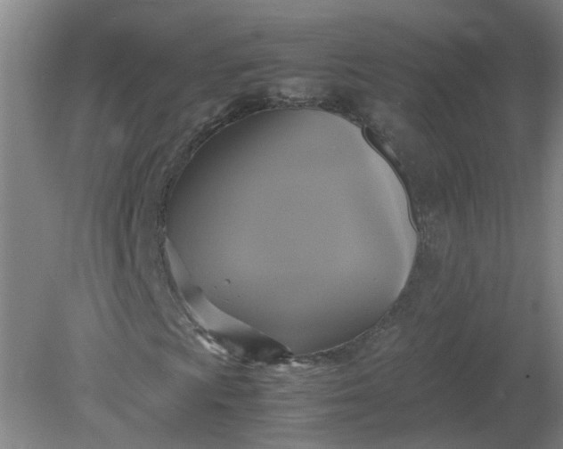 X0000079321009200612011836