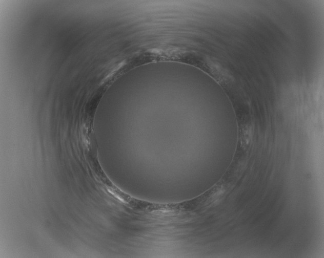 X0000079321010200612011836