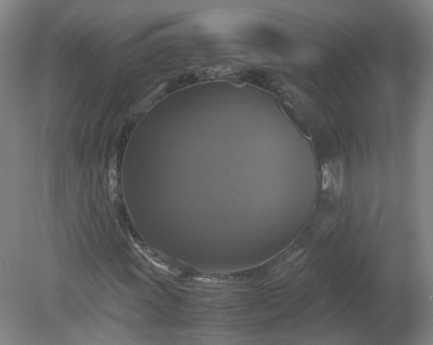 X0000079321011200612011836