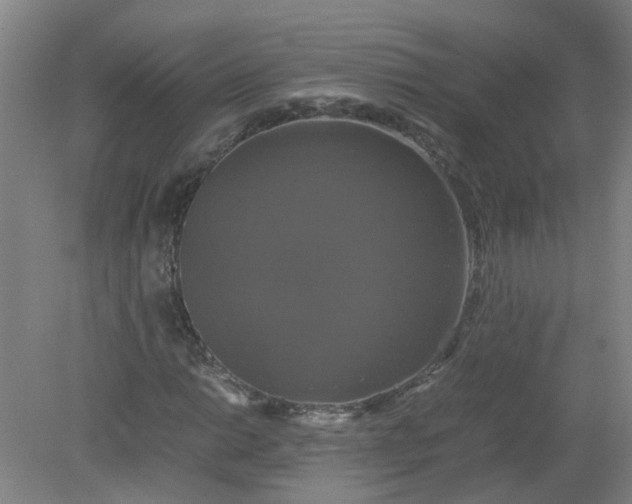 X0000079321014200612011836