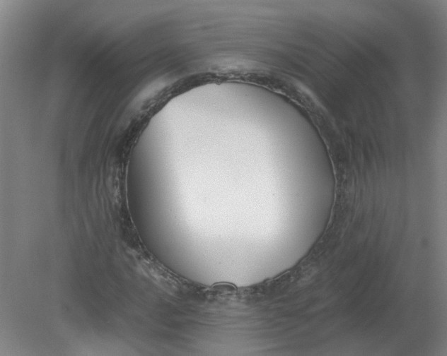 X0000079321016200612011836