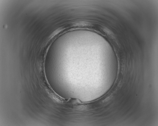 X0000079321017200612011836